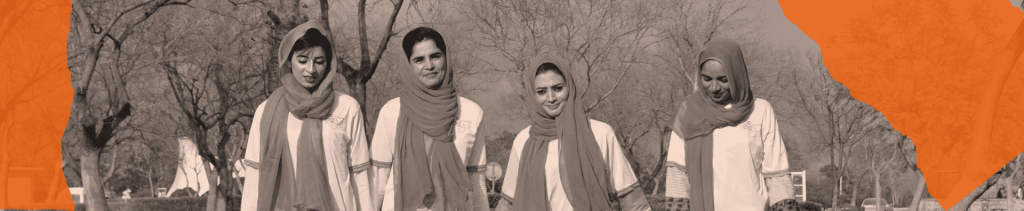 Donate Chal Foundation Pakistani Doctors standing in a row with grace
